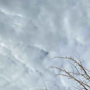 Meet your Posher, Kiley